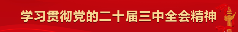 学习贯彻党的二十届三中全会精神